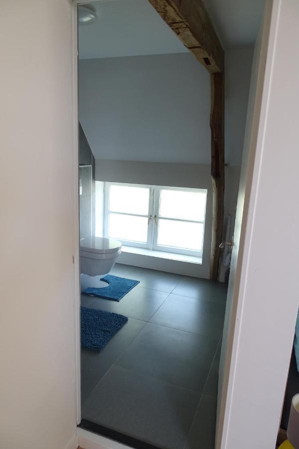 Appartement In Boerderij Uit 1870 エルスト エクステリア 写真